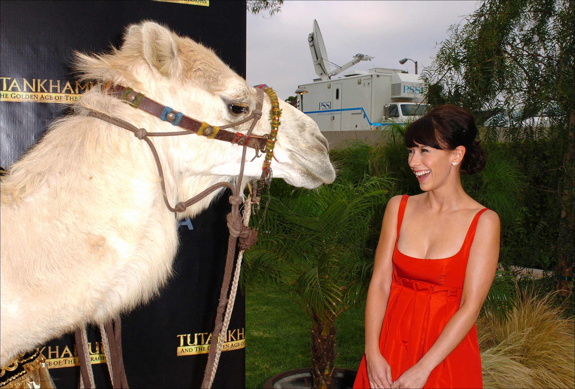 0100.jpg 0100.jpg